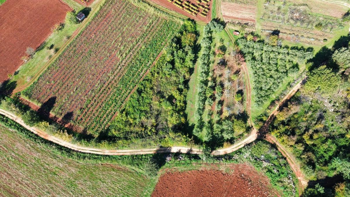 Kmetijska zemljišča Nova Vas, Poreč, 2.126m2