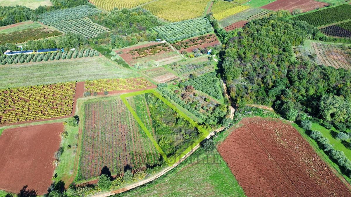 Kmetijska zemljišča Nova Vas, Poreč, 2.126m2
