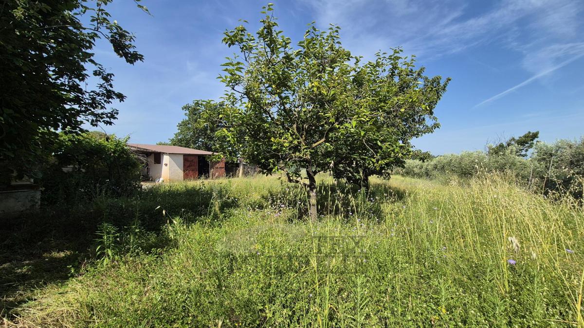 Stavbno zemljišče v izmeri 1.735 m² za gradnjo 12 stanovanjskih enot