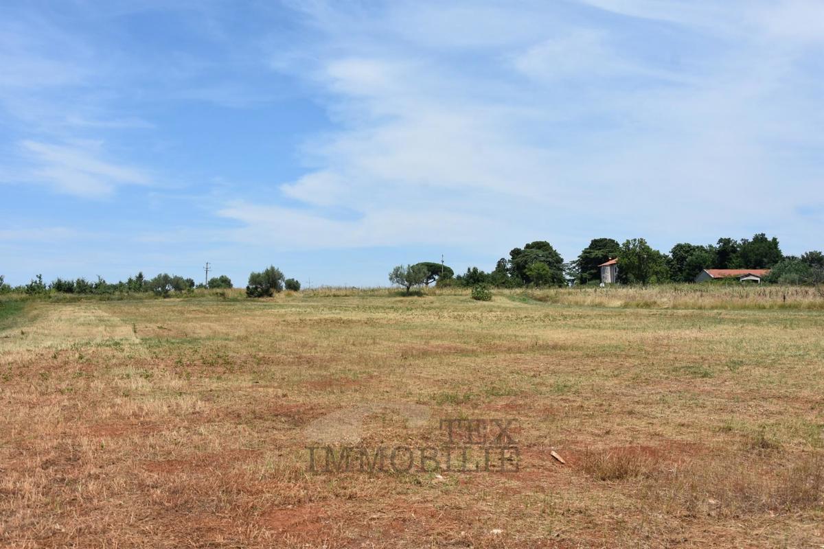 Stavbno zemljišče Kaštelir, Kaštelir-Labinci, 1.474m2