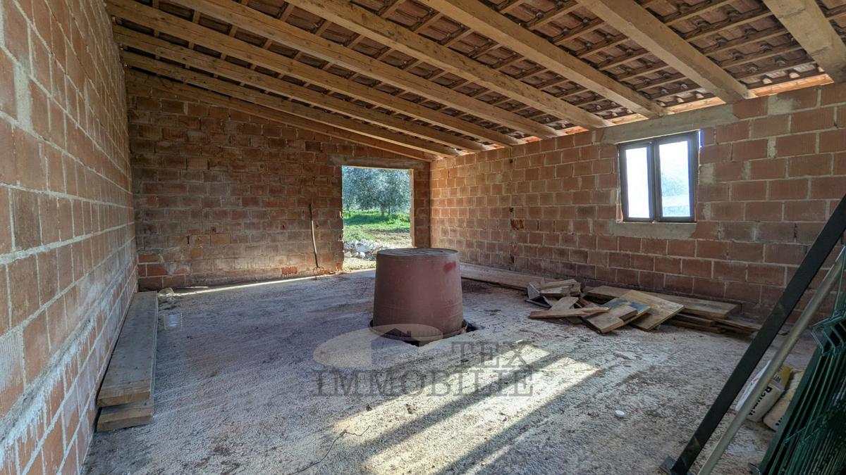 Kmetijsko zemljišče v Poreču – 7.000 m² z oljčnim nasadom in gospodarskim objektom
