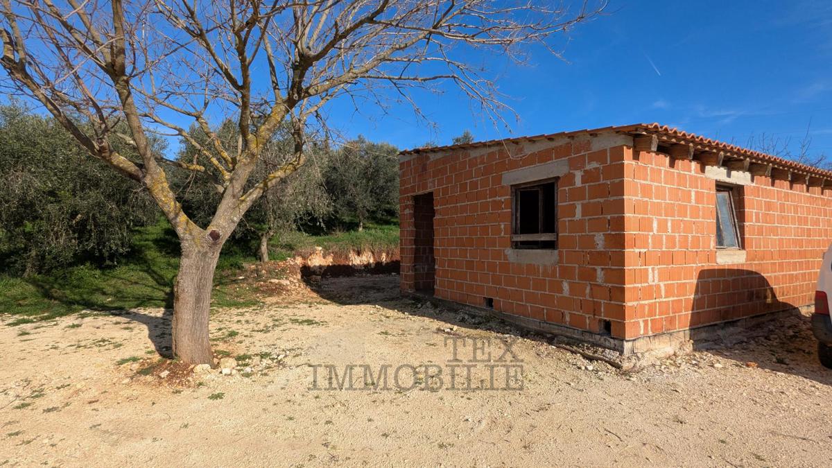Kmetijsko zemljišče v Poreču – 7.000 m² z oljčnim nasadom in gospodarskim objektom