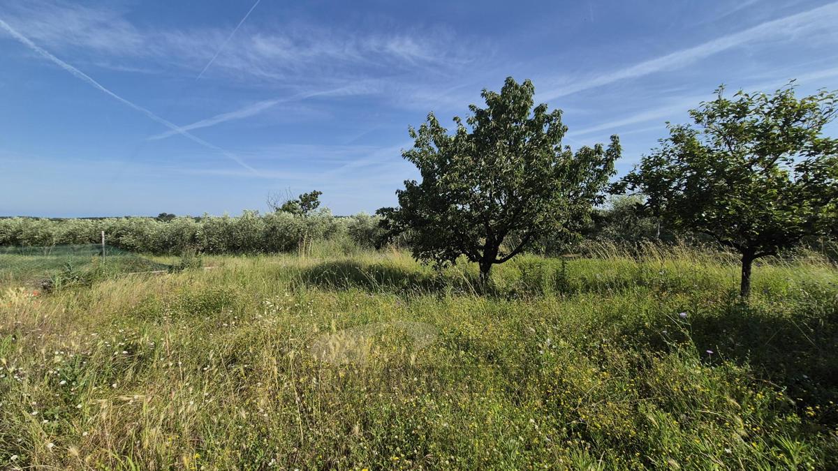 Zazidljivo zemljišče z legalizirano garažo – mirna lokacija v bližini Poreča