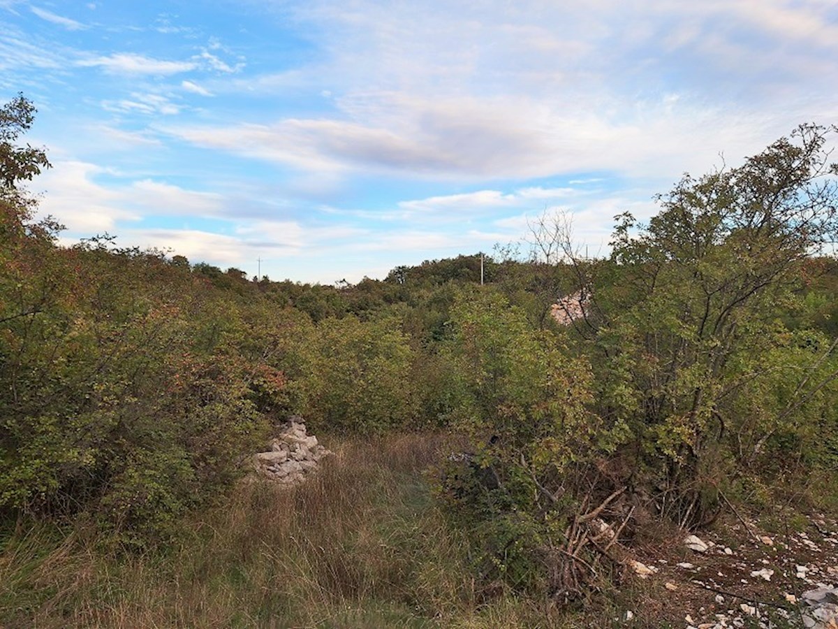 Istra, Ripenda Kras – 4 km od Rabca, prodaja se kmetijsko zemljišče s površino 8.480 m²