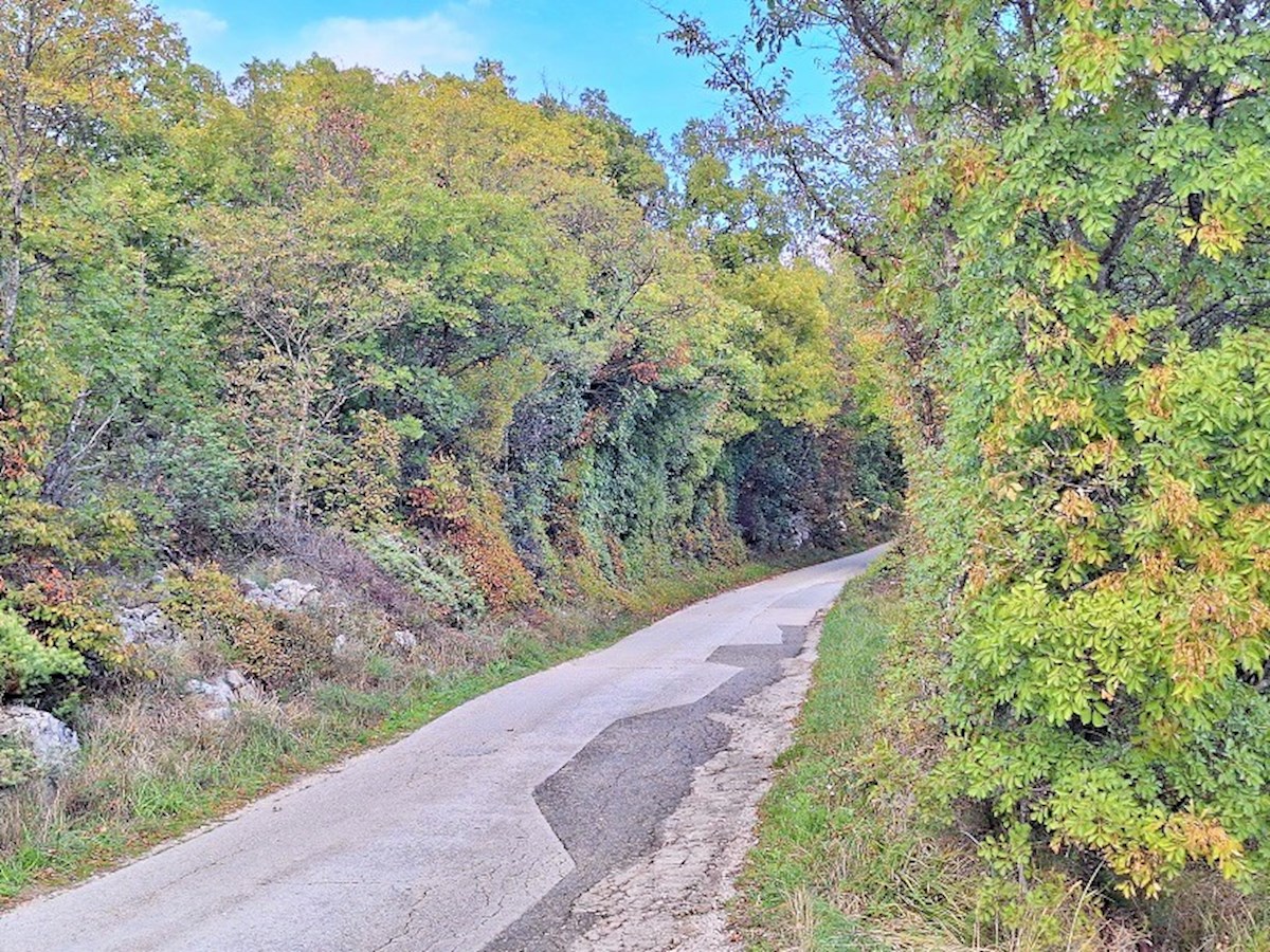 Istra, Ripenda Kras – 4 km od Rabca, prodaja se kmetijsko zemljišče s površino 8.480 m²