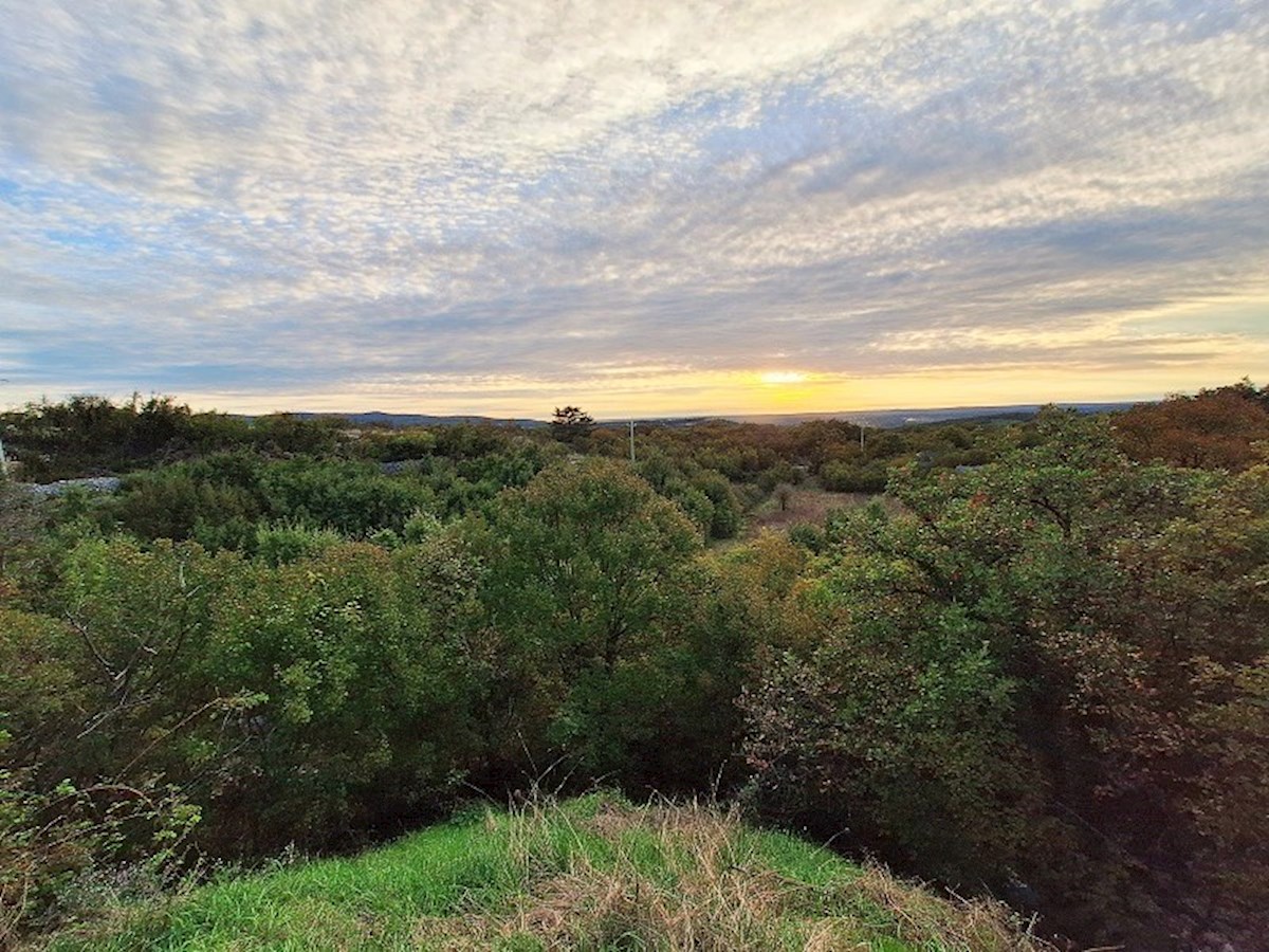 Istra, Ripenda Kras – 4 km od Rabca, prodaja se kmetijsko zemljišče s površino 8.480 m²