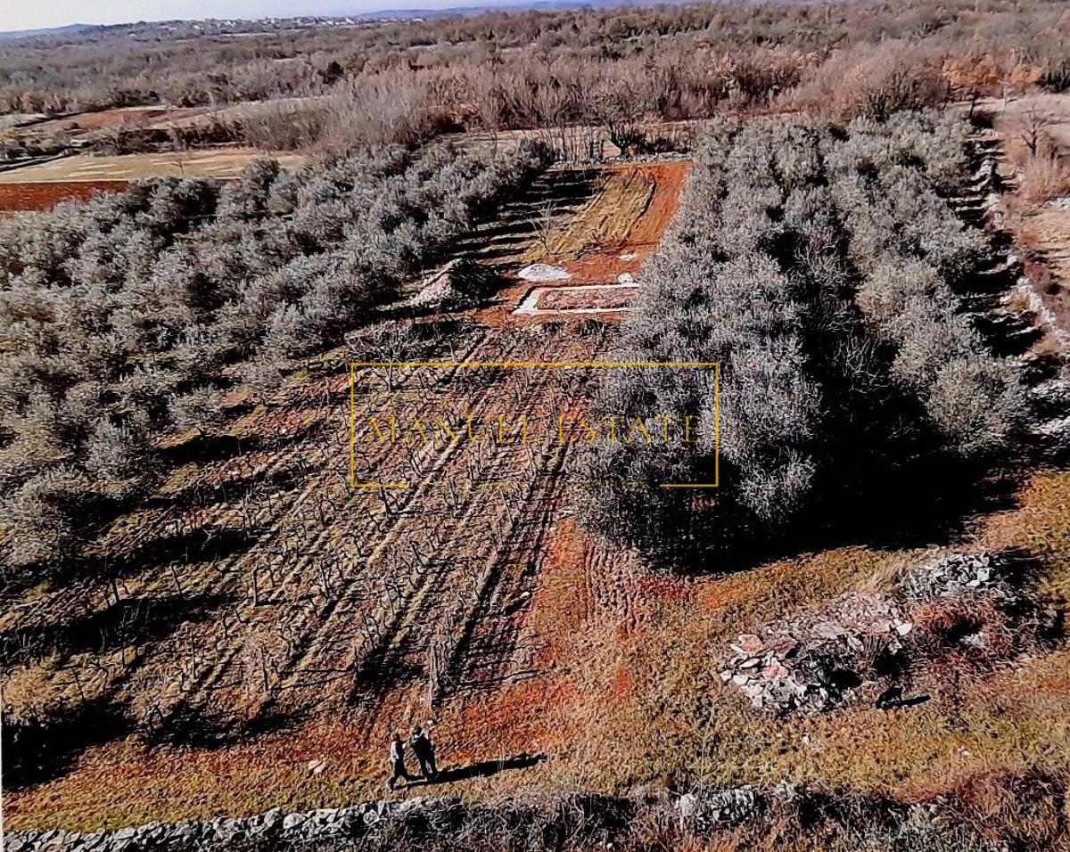 Kmetijsko zemljišče 10 000 m2, Tinjan