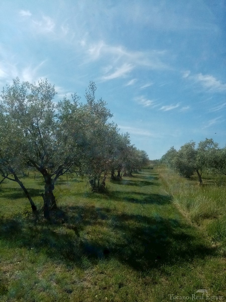 Zemljišče Poreč