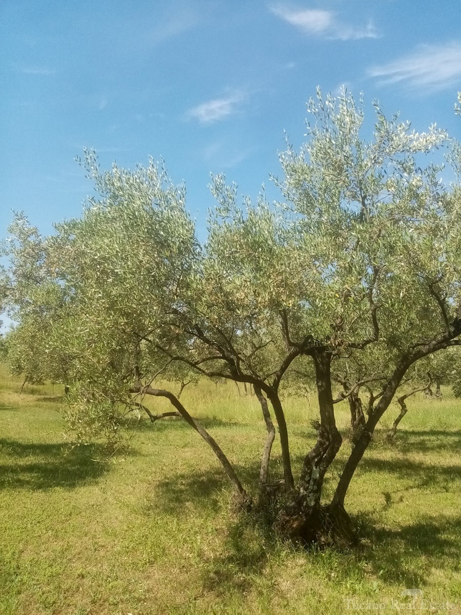 Zemljišče Poreč