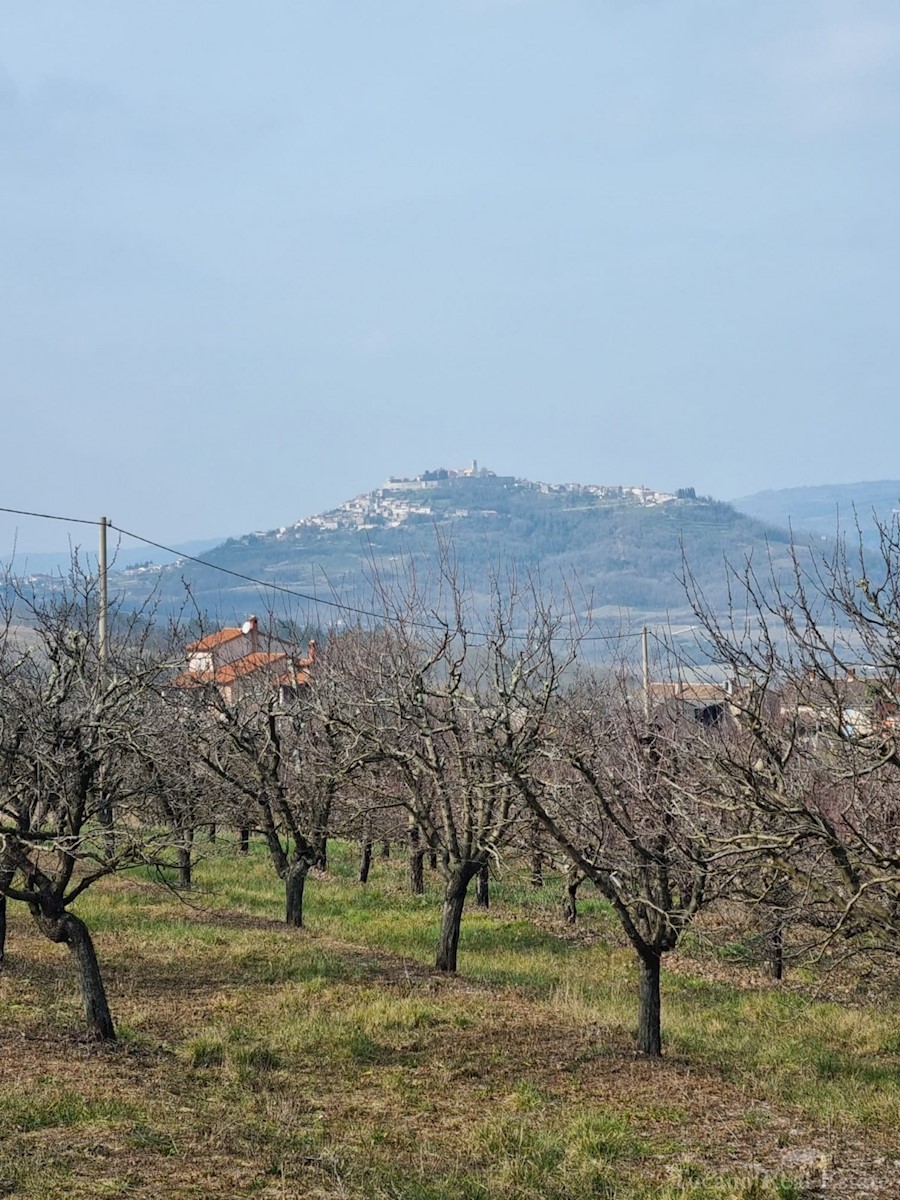 Zemljišče Motovun