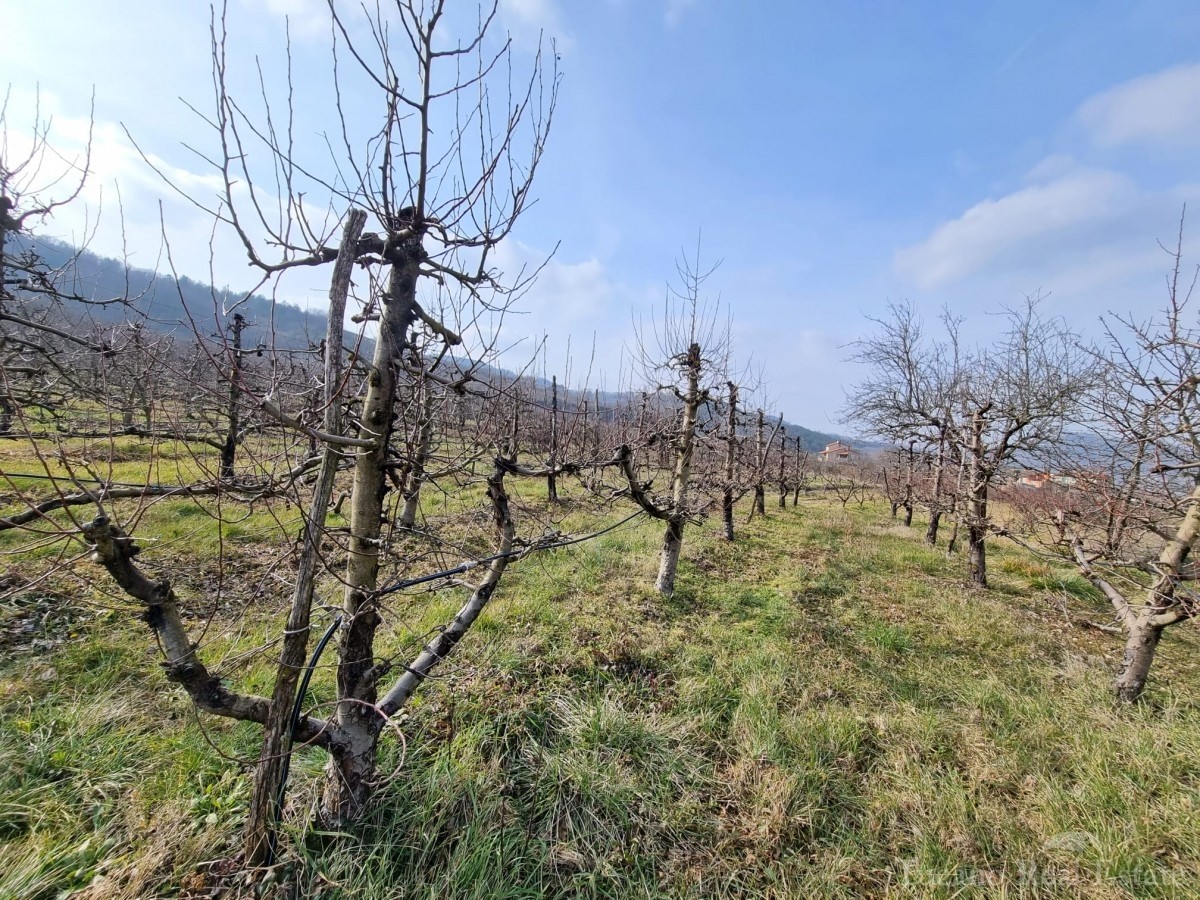 Zemljišče Motovun