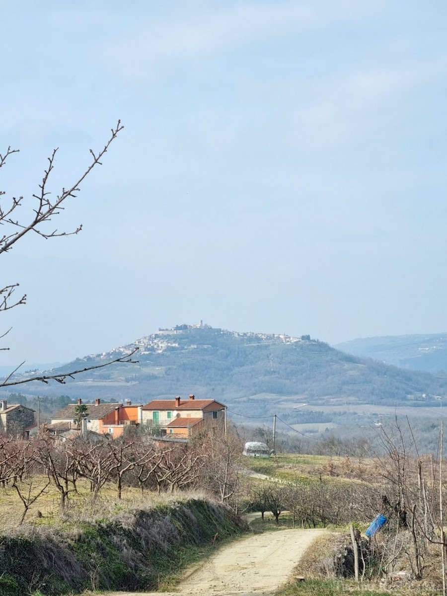 Zemljišče Motovun