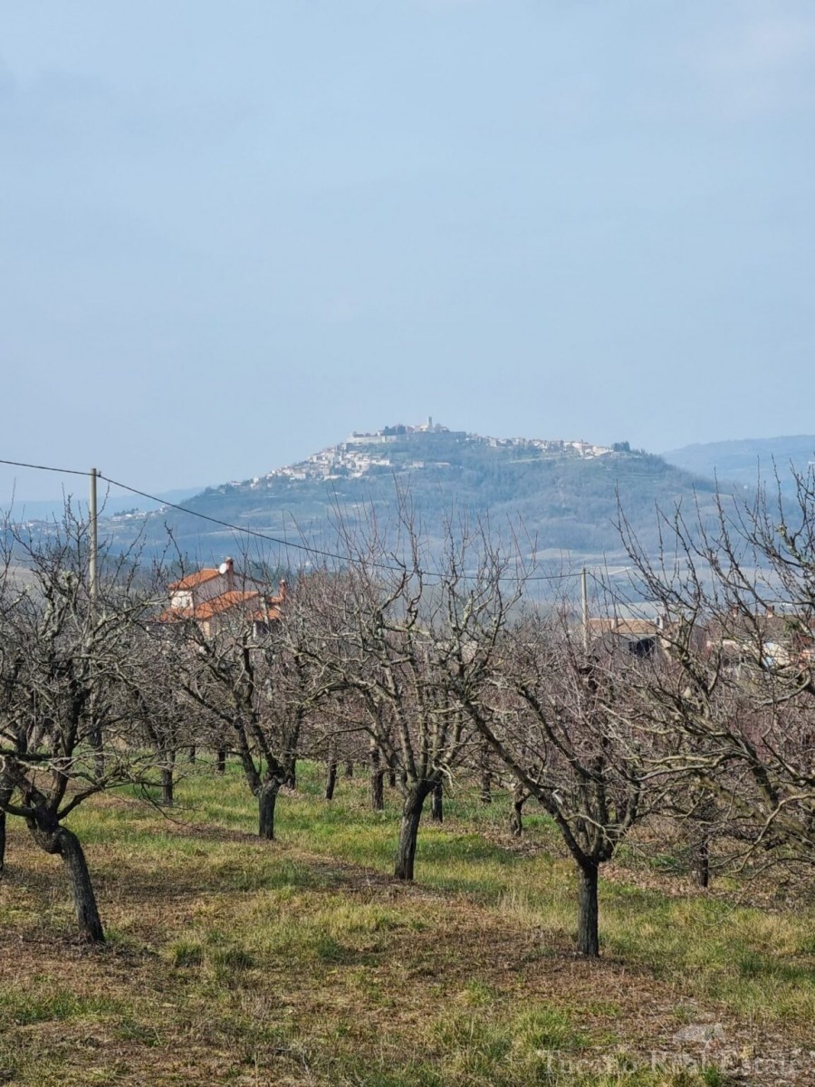 Zemljišče Motovun