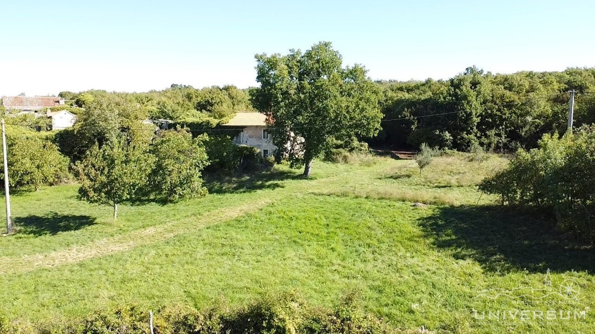 Hiše za obnovo s 3600 m2 gradbenega zemljišča v Oprtlju