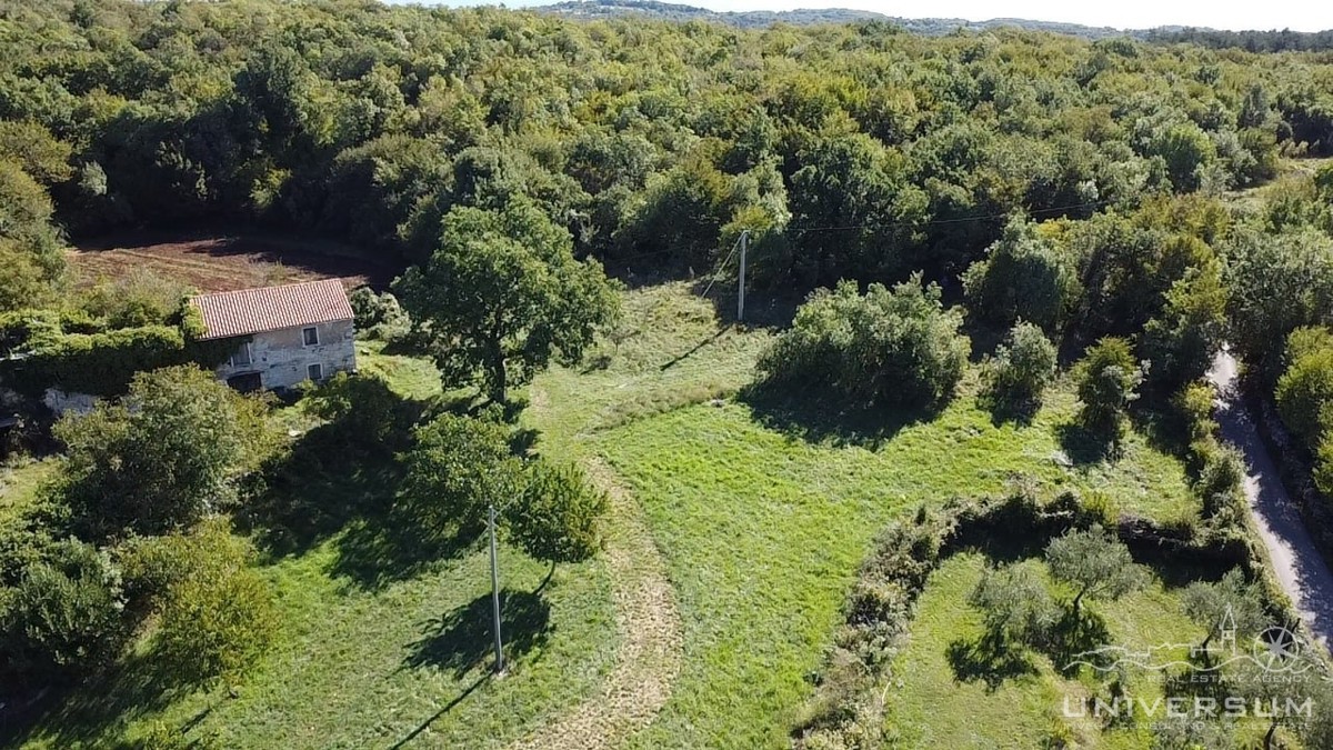 Hiše za obnovo s 3600 m2 gradbenega zemljišča v Oprtlju