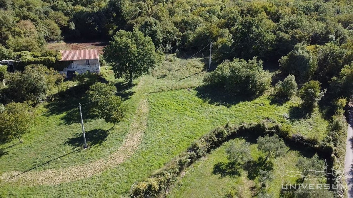 Hiše za obnovo s 3600 m2 gradbenega zemljišča v Oprtlju