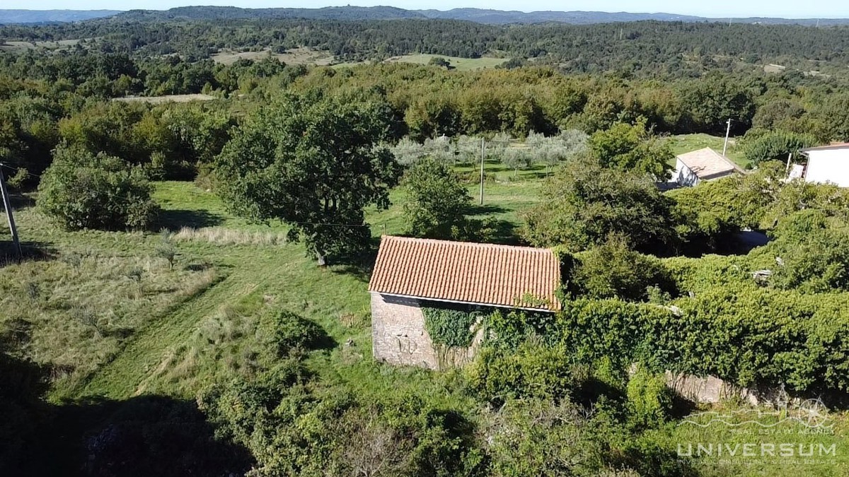 Hiše za obnovo s 3600 m2 gradbenega zemljišča v Oprtlju
