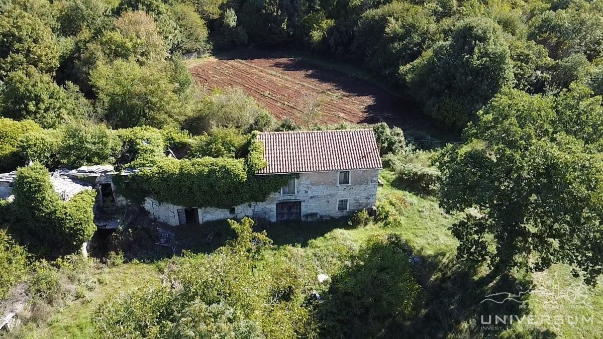 Hiše za obnovo s 3600 m2 gradbenega zemljišča v Oprtlju