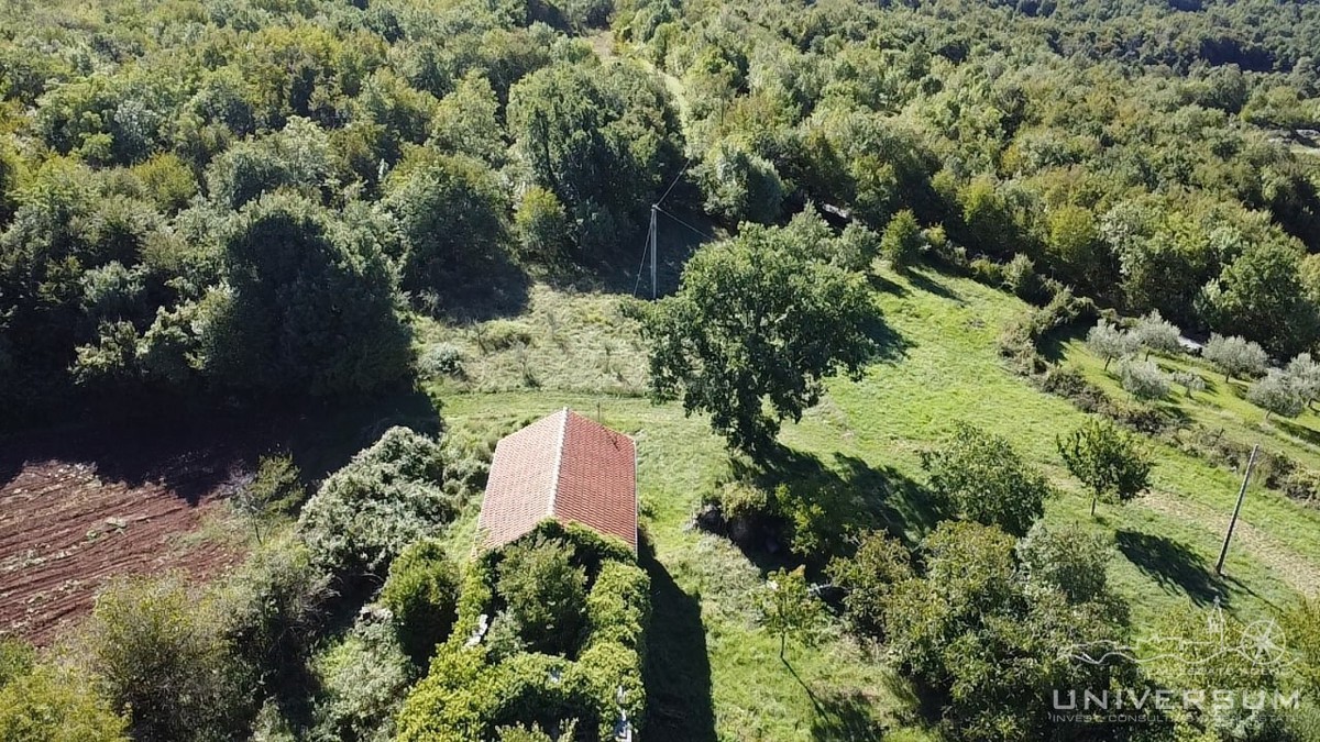 Hiše za obnovo s 3600 m2 gradbenega zemljišča v Oprtlju