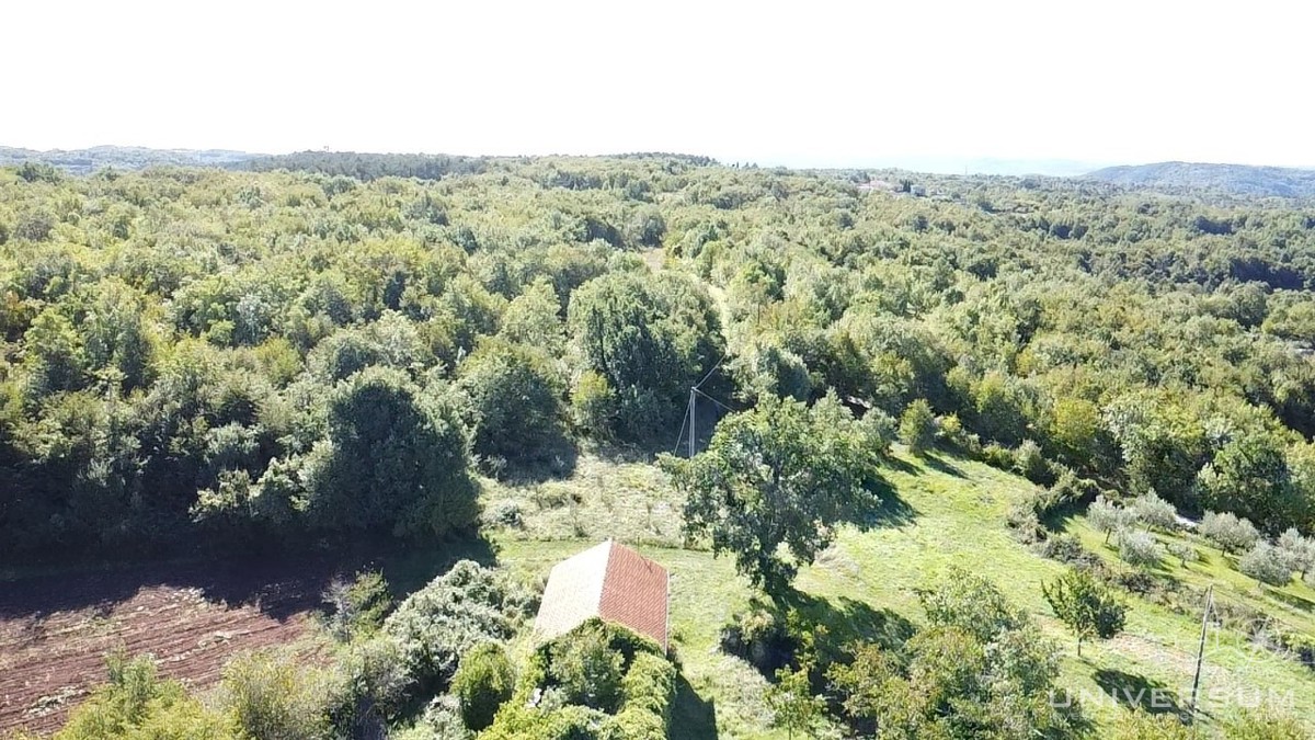 Hiše za obnovo s 3600 m2 gradbenega zemljišča v Oprtlju