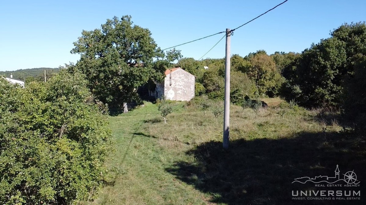 Hiše za obnovo s 3600 m2 gradbenega zemljišča v Oprtlju