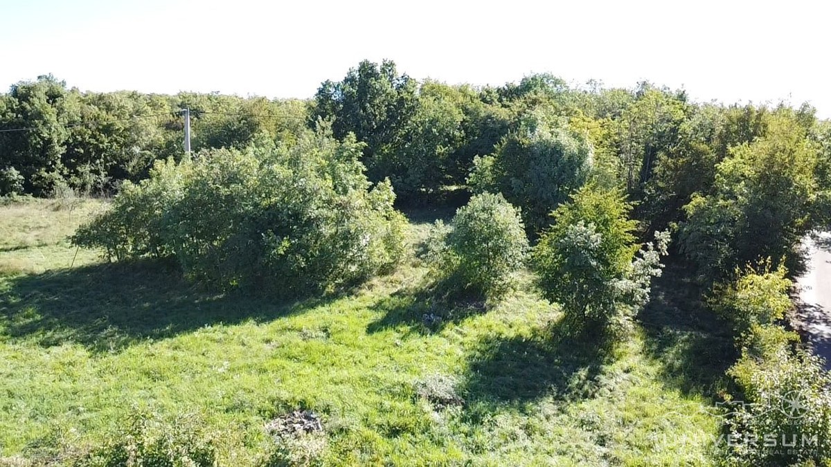 Hiše za obnovo s 3600 m2 gradbenega zemljišča v Oprtlju