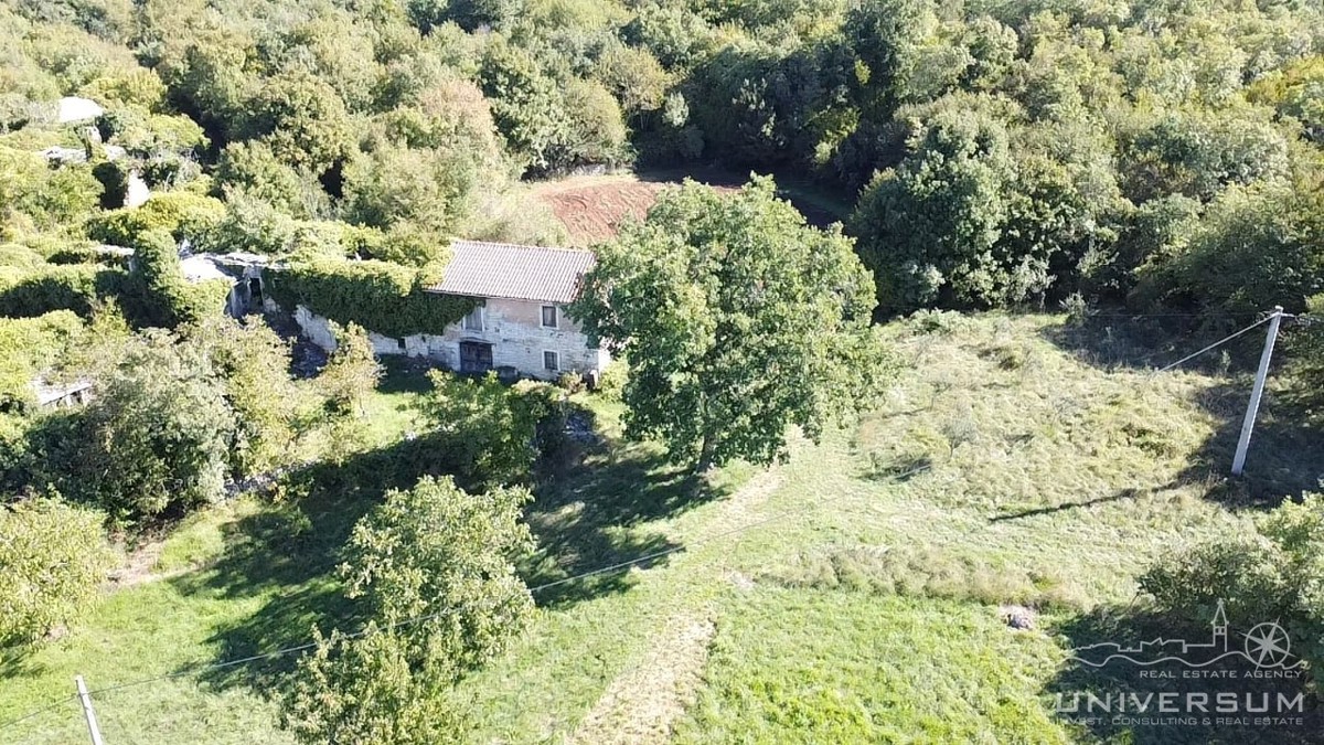 Hiše za obnovo s 3600 m2 gradbenega zemljišča v Oprtlju