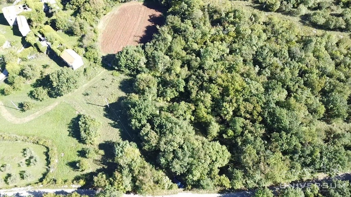 Hiše za obnovo s 3600 m2 gradbenega zemljišča v Oprtlju