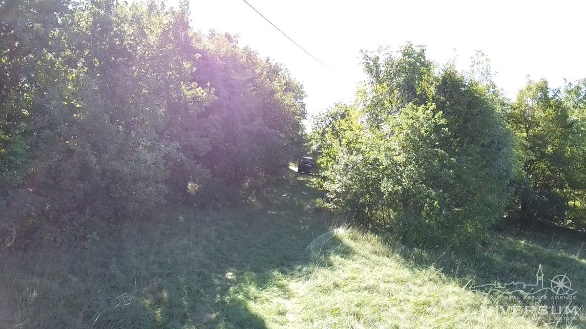 Hiše za obnovo s 3600 m2 gradbenega zemljišča v Oprtlju