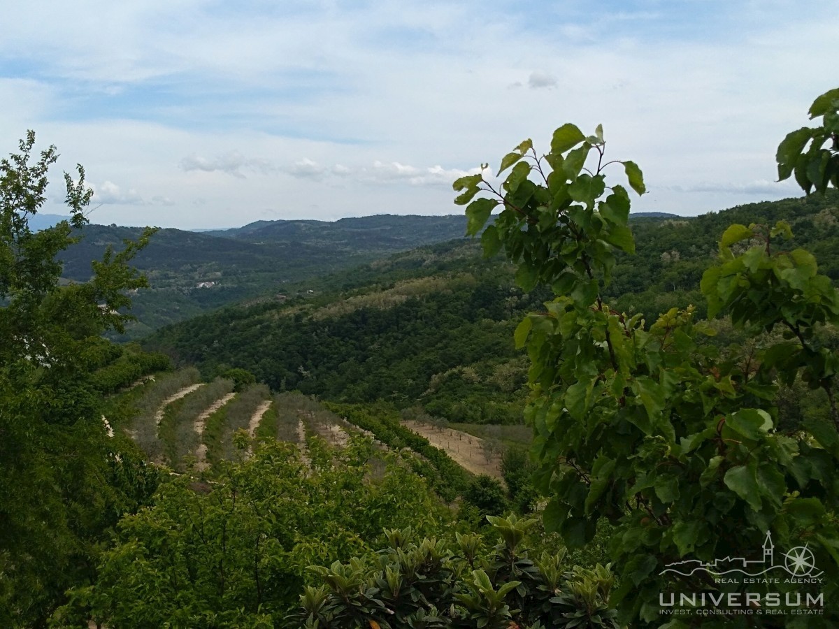 Gradbeno zemljišče s pogledom na Motovun, staro mestno jedro in naravo in Vižinada