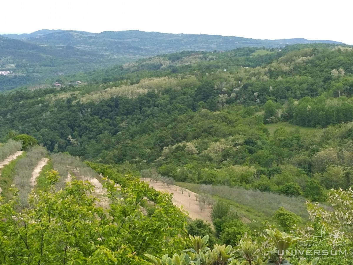 Gradbeno zemljišče s pogledom na Motovun, staro mestno jedro in naravo in Vižinada