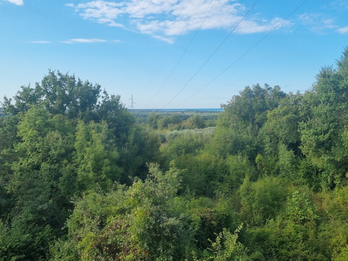 Sodoben apartma s strešno teraso in pogledom na morje