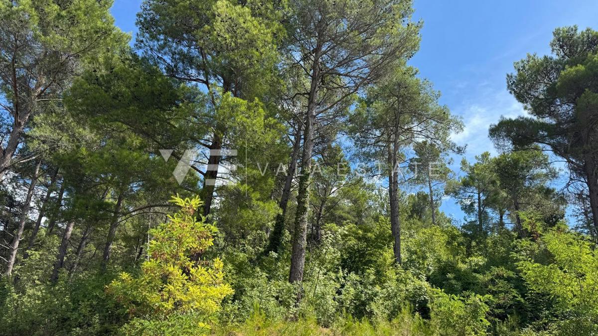 APARTMA NA ATRAKTIVNI LOKACIJI PRVA VRSTA DO MORJA