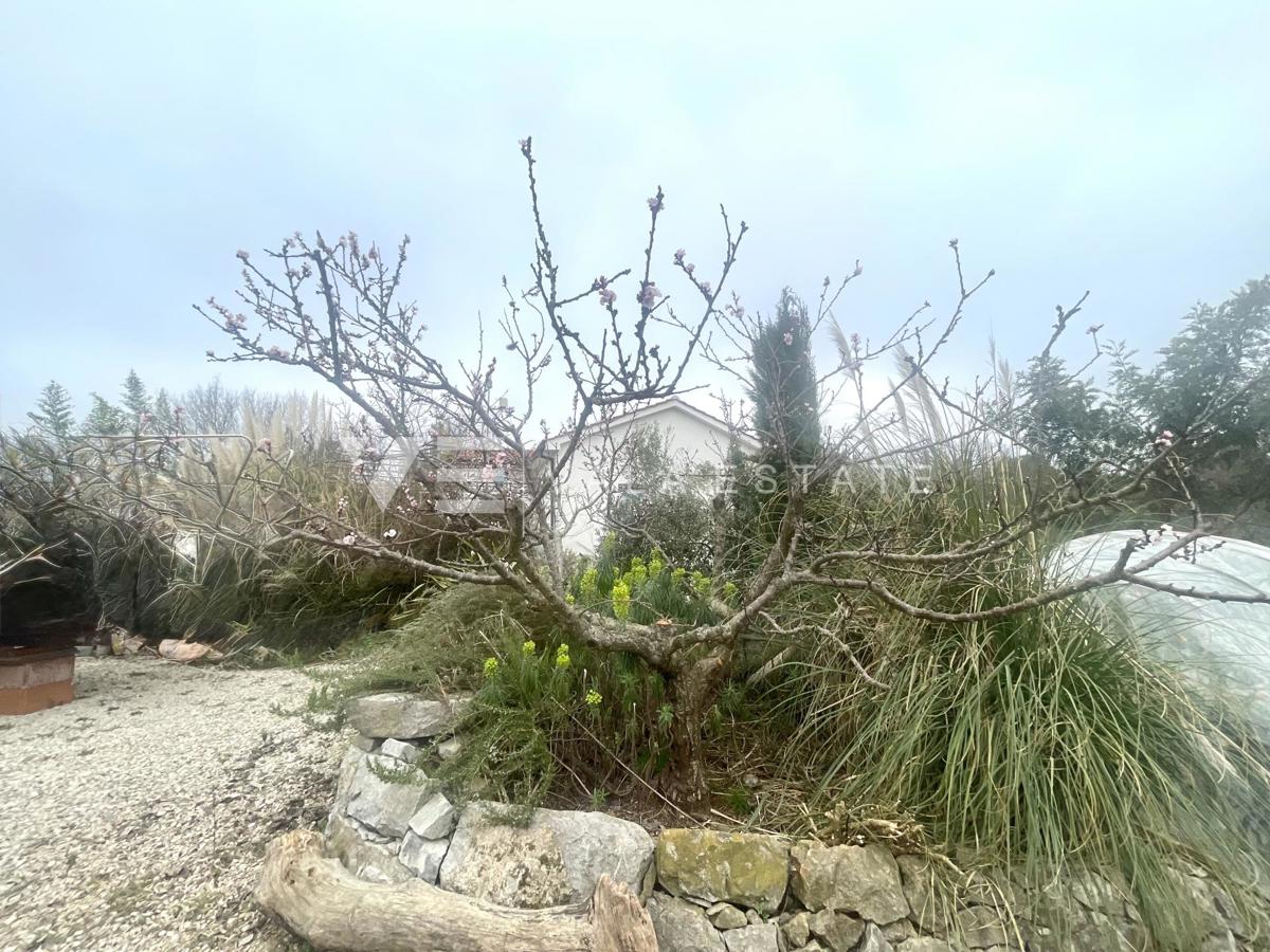 SAMOSTOJNA HIŠA Z VELIKIM VRTOM NA MIRNI LOKACIJI