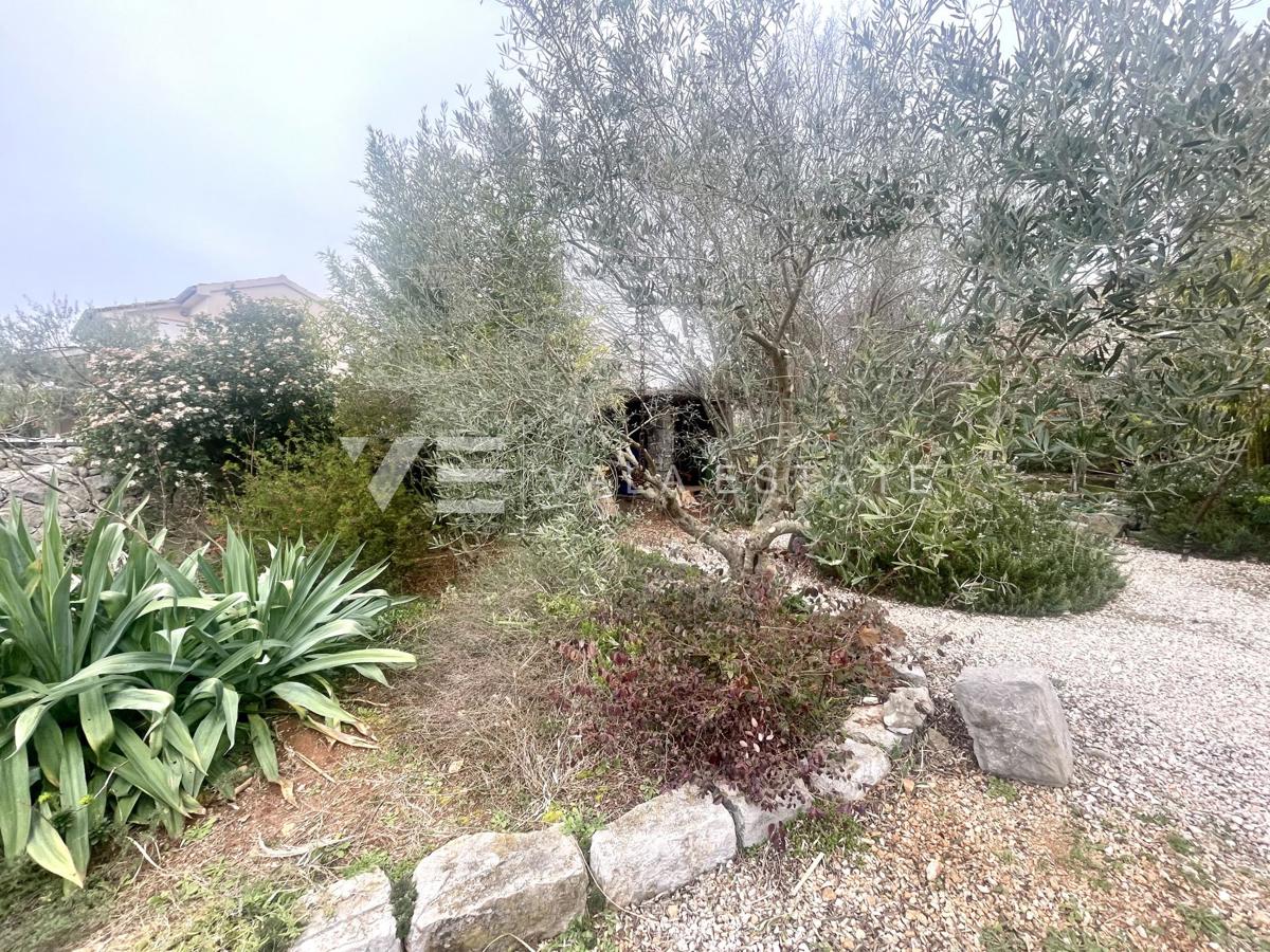 SAMOSTOJNA HIŠA Z VELIKIM VRTOM NA MIRNI LOKACIJI