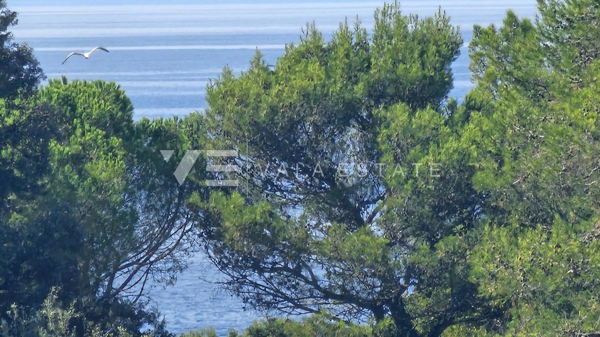 UDOBNI PENTHOUSE APARTMA V BLIŽINI PLAŽE IN CENTRA