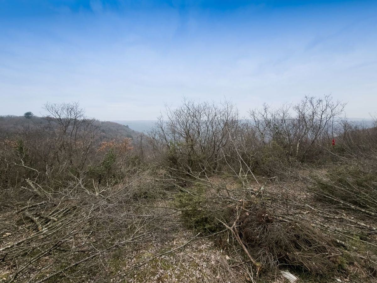 Zemljišče Labin, 1.700m2