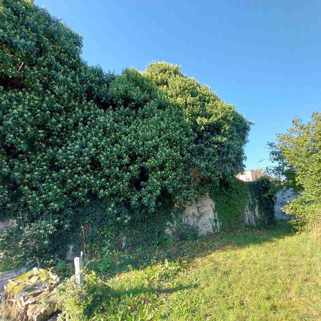 Hiša Gračišće, 150m2