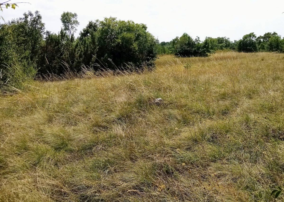Zemljišče Labin, 8.100m2