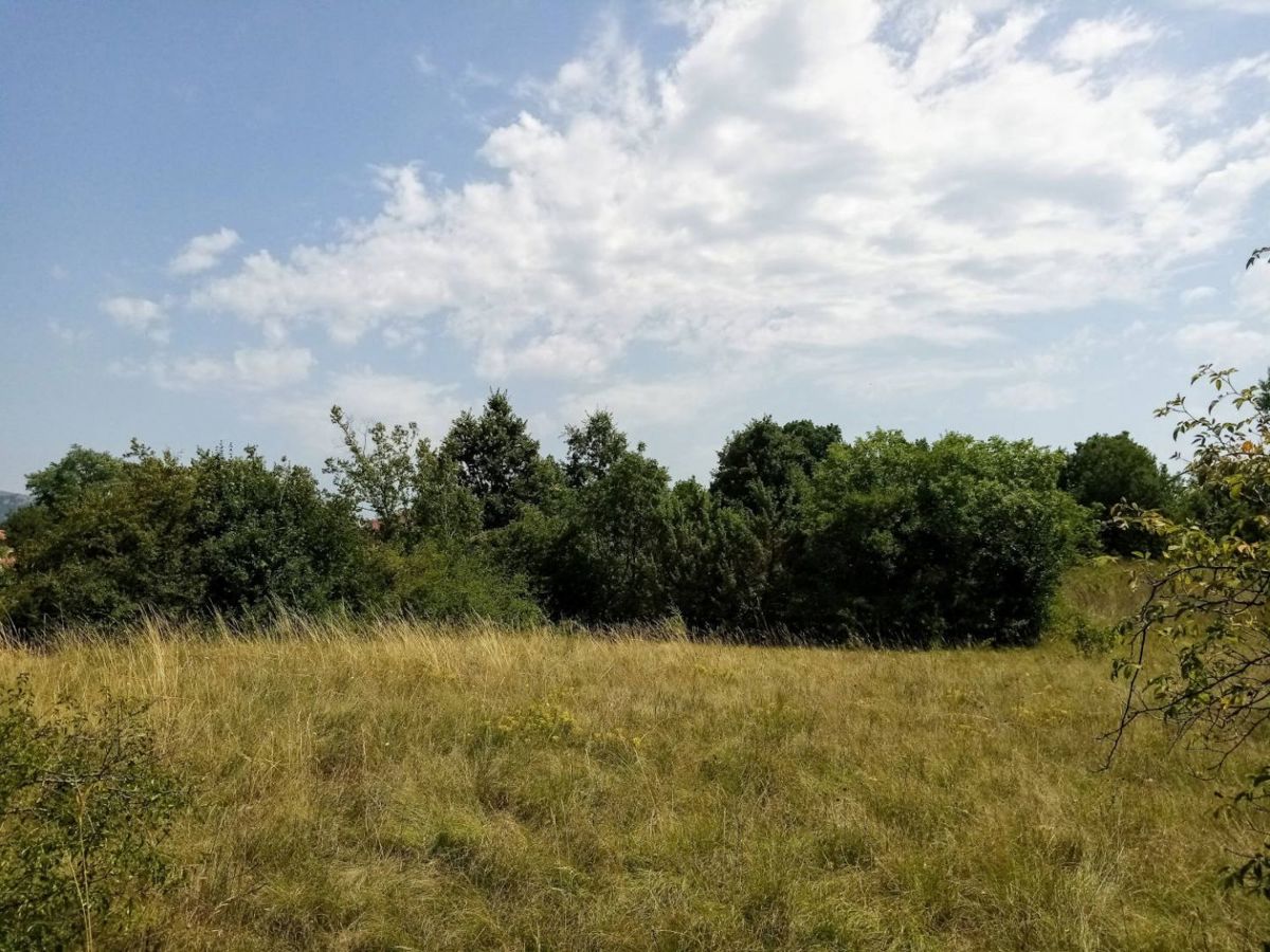 Zemljišče Labin, 8.100m2