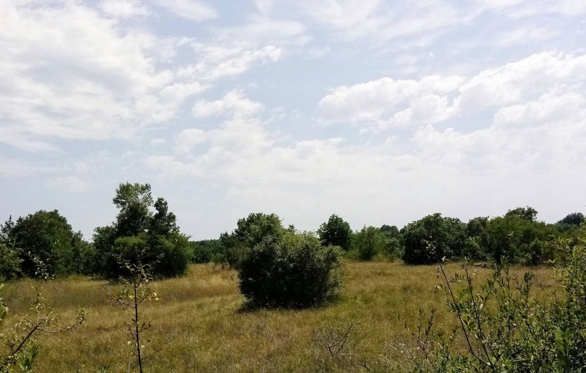 Zemljišče Labin, 8.100m2