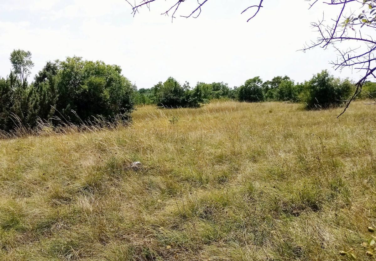 Zemljišče Labin, 8.100m2