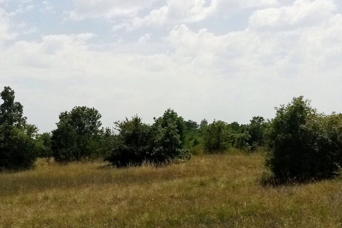 Zemljišče Labin, 8.100m2
