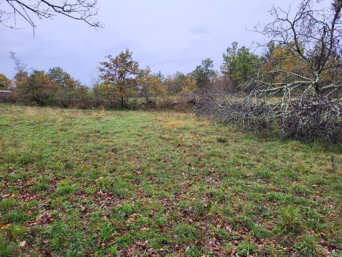 Zemljišče Grožnjan, 1.000m2