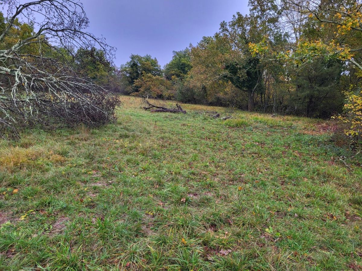 Zemljišče Grožnjan, 1.000m2