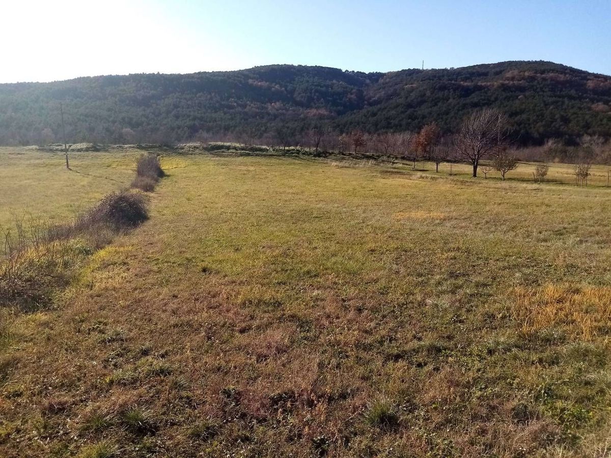 Labin, okolica, zazidljiva parcela 556 m2