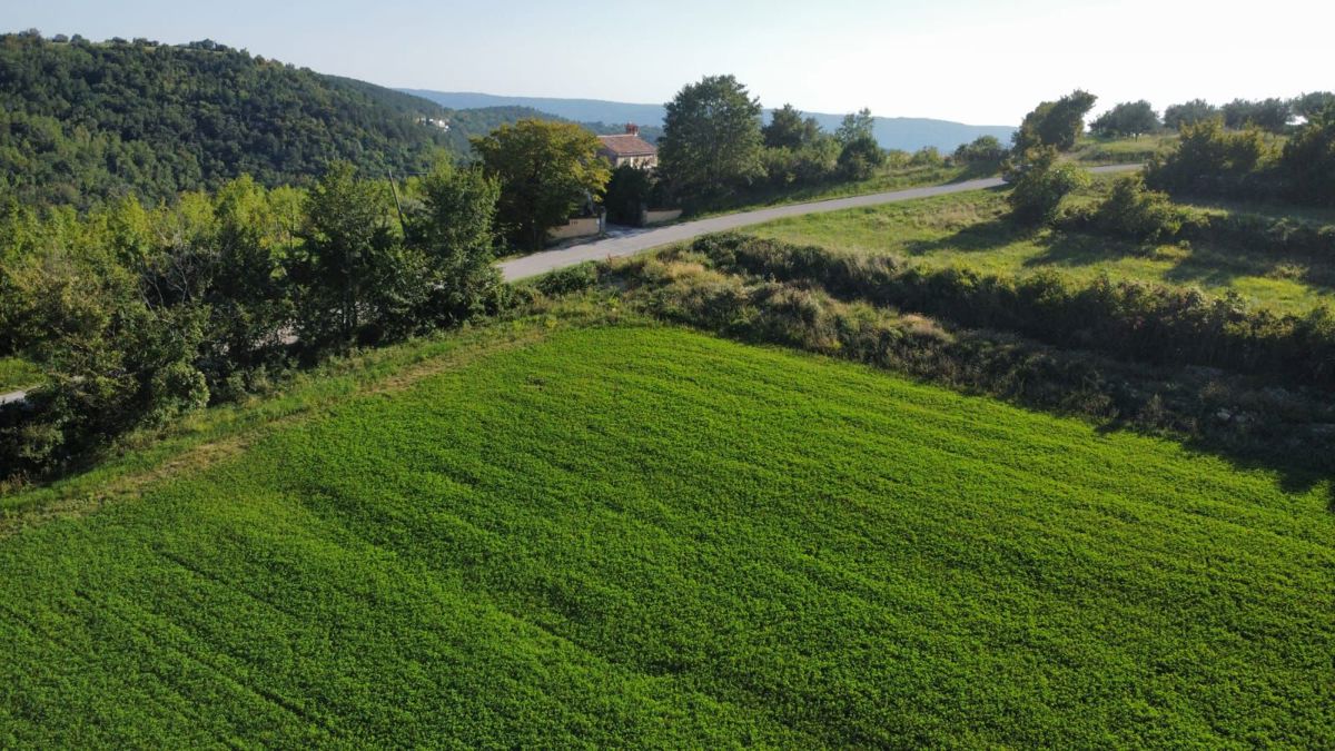Oprtalj, Gradbeno zemljišče z edinstvenim pogledom in gradbenim dovoljenjem