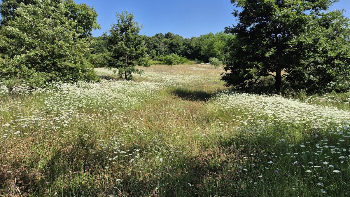 Zemljišče Labin, 1.652m2