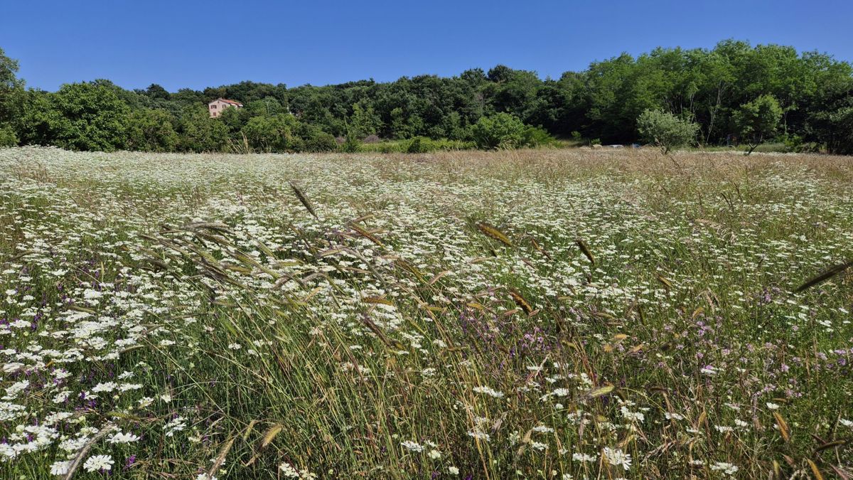Zemljišče Labin, 1.652m2