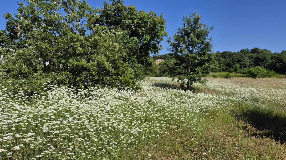 Zemljišče Labin, 1.652m2
